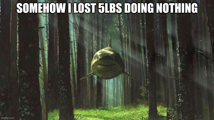 shark in forest | SOMEHOW I LOST 5LBS DOING NOTHING | image tagged in shark in forest | made w/ Imgflip meme maker