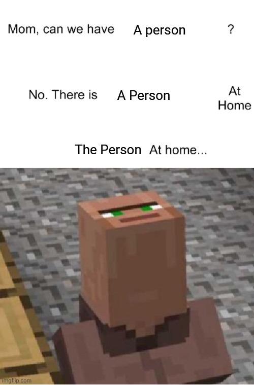 A person; A Person; The Person | image tagged in mom can we have,minecraft villager looking up | made w/ Imgflip meme maker