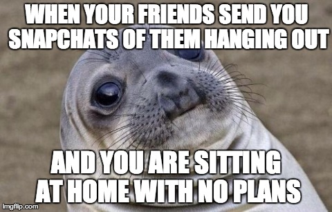 Awkward Moment Sealion Meme | WHEN YOUR FRIENDS SEND YOU SNAPCHATS OF THEM HANGING OUT AND YOU ARE SITTING AT HOME WITH NO PLANS | image tagged in awkward sealion,AdviceAnimals | made w/ Imgflip meme maker
