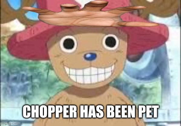 Chopper smiling | CHOPPER HAS BEEN PET | image tagged in chopper smiling | made w/ Imgflip meme maker
