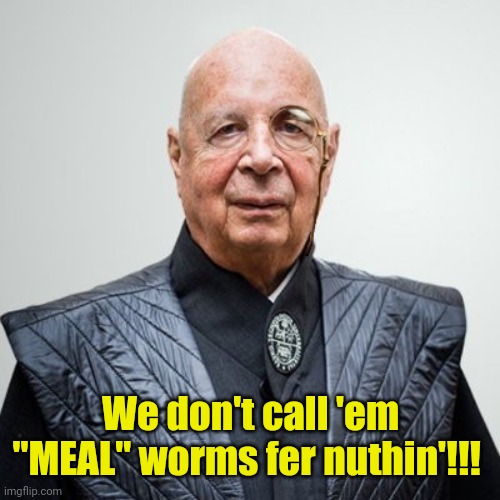Klaus Schwab | We don't call 'em "MEAL" worms fer nuthin'!!! | image tagged in klaus schwab | made w/ Imgflip meme maker
