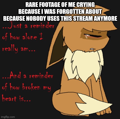 I am alone now credit to whoever made this art | RARE FOOTAGE OF ME CRYING BECAUSE I WAS FORGOTTEN ABOUT BECAUSE NOBODY USES THIS STREAM ANYMORE | image tagged in alone eevee | made w/ Imgflip meme maker