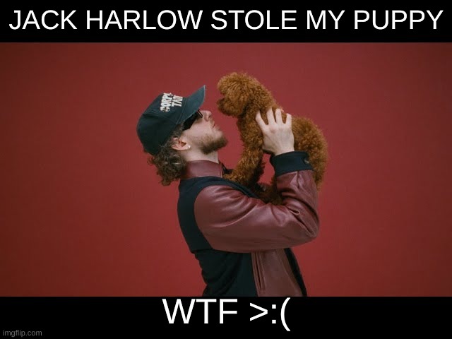 JACK HARLOW STOLE MY PUPPY; WTF >:( | made w/ Imgflip meme maker