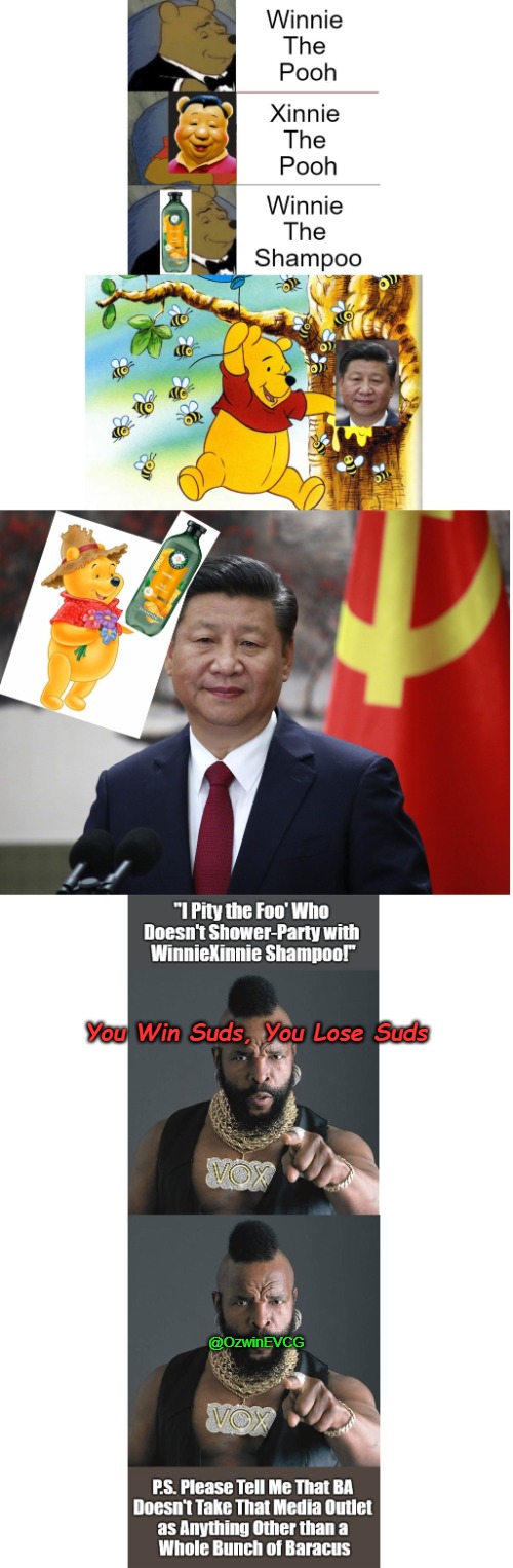 You Win Suds, You Lose Suds | You Win Suds, You Lose Suds; @OzwinEVCG | image tagged in xi jinping,winnie the pooh,truly organic experiences,xinnie the pooh,eyeroll meme,pity the fool | made w/ Imgflip meme maker