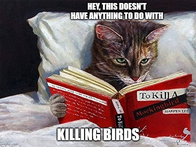 meme by Brad cats To Kill a Mockingbirdfu | HEY, THIS DOESN'T HAVE ANYTHING TO DO WITH; KILLING BIRDS | image tagged in cats,cat,cat meme,funny cat memes,humor,funny meme | made w/ Imgflip meme maker