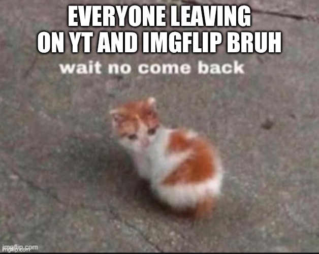 wait no come back | EVERYONE LEAVING ON YT AND IMGFLIP BRUH | image tagged in wait no come back | made w/ Imgflip meme maker