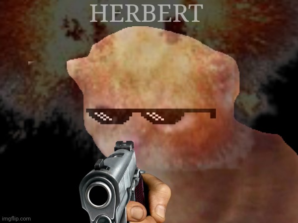 Greatest Imgflip edit ever | HERBERT | made w/ Imgflip meme maker