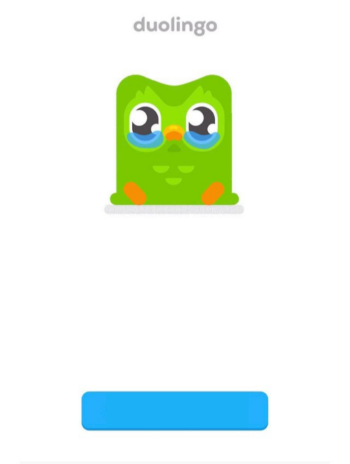 High Quality Duolingo hasen't seen you in a while Blank Meme Template