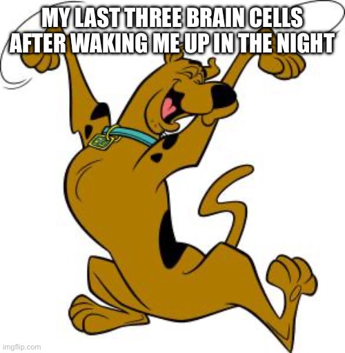 scooby doo | MY LAST THREE BRAIN CELLS AFTER WAKING ME UP IN THE NIGHT | image tagged in scooby doo | made w/ Imgflip meme maker
