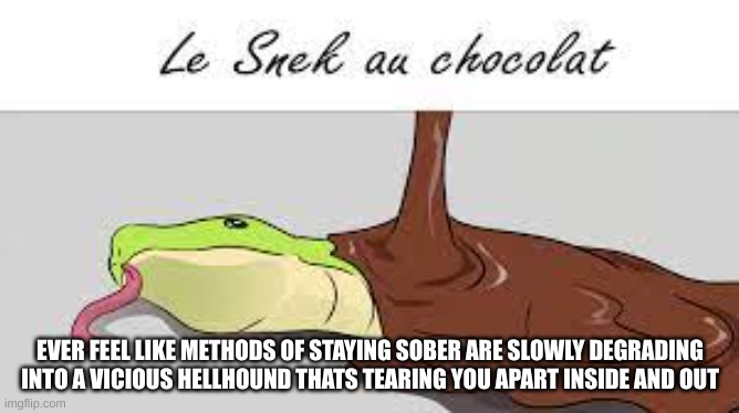 le snek au chocolat | EVER FEEL LIKE METHODS OF STAYING SOBER ARE SLOWLY DEGRADING INTO A VICIOUS HELLHOUND THATS TEARING YOU APART INSIDE AND OUT | image tagged in le snek au chocolat | made w/ Imgflip meme maker