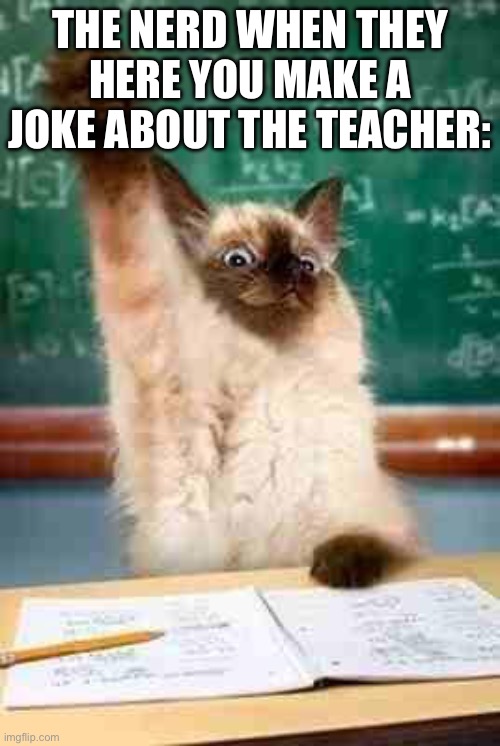 the is so annoying | THE NERD WHEN THEY HERE YOU MAKE A JOKE ABOUT THE TEACHER: | image tagged in funny memes,memes,meme man | made w/ Imgflip meme maker