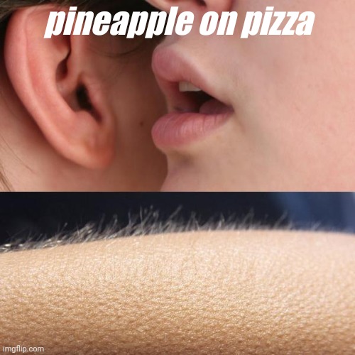 Whisper and Goosebumps | pineapple on pizza | image tagged in whisper and goosebumps | made w/ Imgflip meme maker