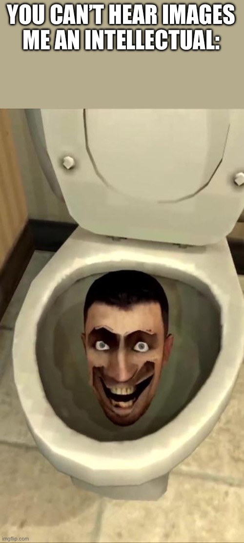 Lol haha | YOU CAN’T HEAR IMAGES
ME AN INTELLECTUAL: | image tagged in skibidi toilet | made w/ Imgflip meme maker