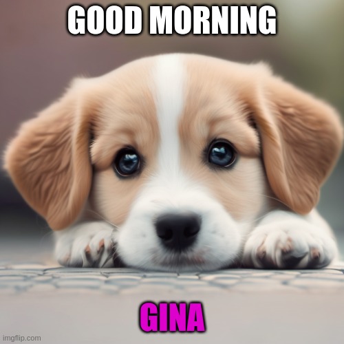 good morning | GOOD MORNING; GINA | image tagged in a dog | made w/ Imgflip meme maker
