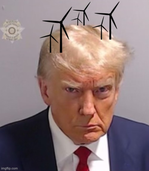 Donald Trump Mugshot | image tagged in donald trump mugshot,windmills,quixotic,don quijote | made w/ Imgflip meme maker