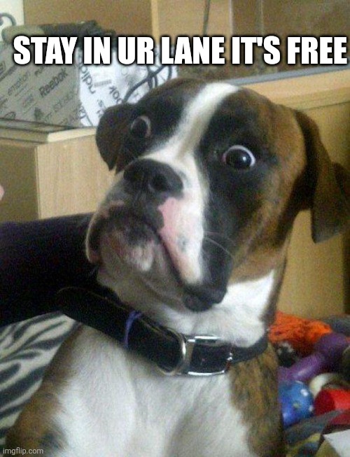 Jroc113 | STAY IN UR LANE IT'S FREE | image tagged in blankie the shocked dog | made w/ Imgflip meme maker