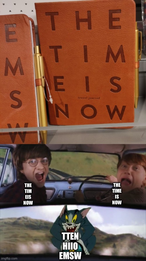 The time is now | THE
TIME
IS
NOW; THE
TIM
EIS
NOW; TTEN
HIIO
EMSW | image tagged in tom chasing harry and ron weasly | made w/ Imgflip meme maker