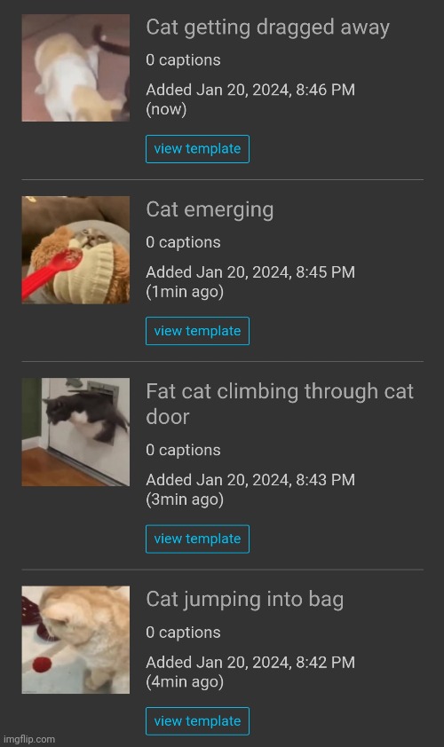 Just made a bunch of cat templates! Links in comments | made w/ Imgflip meme maker