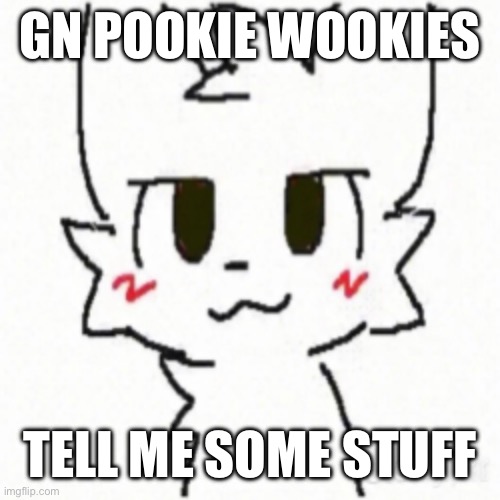 Boy Kisser | GN POOKIE WOOKIES; TELL ME SOME STUFF | image tagged in boy kisser | made w/ Imgflip meme maker