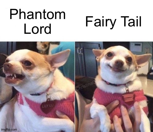 Phantom Lord Meme Fairy Tail | Phantom Lord; Fairy Tail; ChristinaO | image tagged in angry chihuahua happy chihuahua,memes,phantom lord,fairy tail,fairy tail meme,fairy tail memes | made w/ Imgflip meme maker