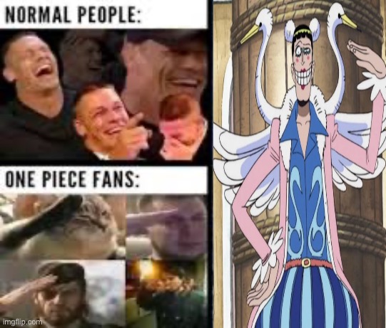 Normal people vs one piece fans | image tagged in one piece,bon clay | made w/ Imgflip meme maker