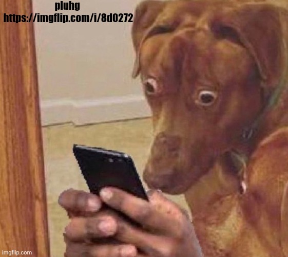 shocked dog | pluhg 
https://imgflip.com/i/8d0272 | image tagged in shocked dog | made w/ Imgflip meme maker