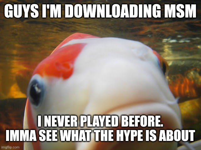 Koi | GUYS I'M DOWNLOADING MSM; I NEVER PLAYED BEFORE. IMMA SEE WHAT THE HYPE IS ABOUT | image tagged in koi | made w/ Imgflip meme maker