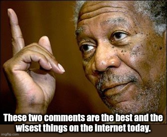 This Morgan Freeman | These two comments are the best and the
wisest things on the internet today. | image tagged in this morgan freeman | made w/ Imgflip meme maker