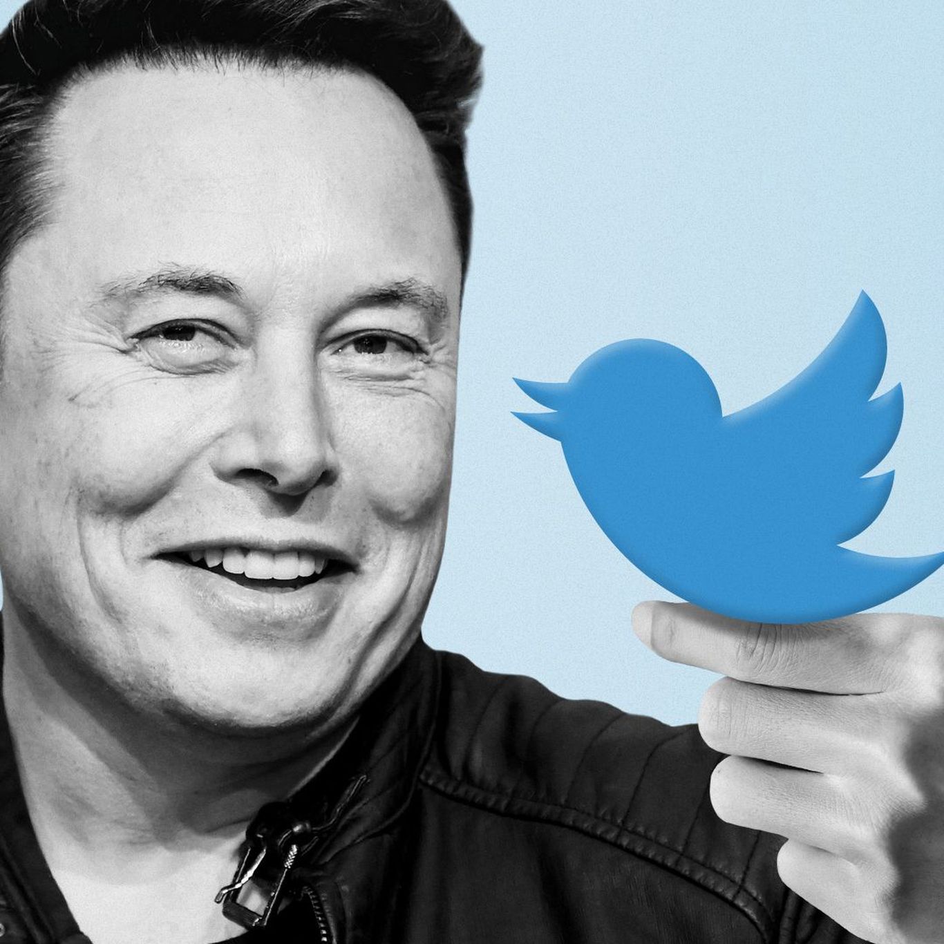 High Quality Elon Twitter bird Blank Meme Template