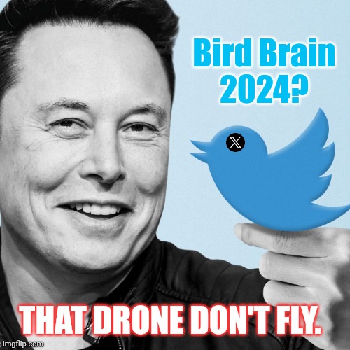 Nikki Haley got the Bird Brain Blues. | Bird Brain
2024? THAT DRONE DON'T FLY. | image tagged in elon twitter bird,twitter birds says,president trump,potus,maga,the great awakening | made w/ Imgflip meme maker