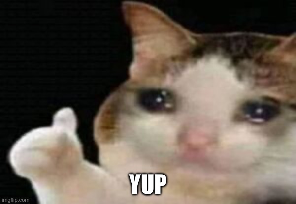 crying cat thumbs up | YUP | image tagged in crying cat thumbs up | made w/ Imgflip meme maker