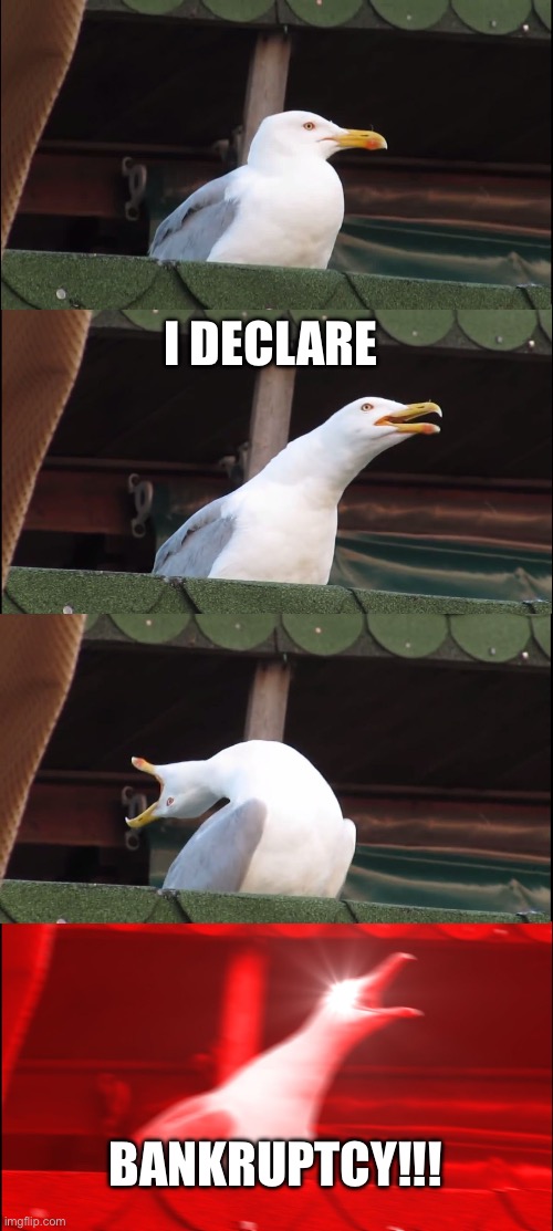 Inhaling Seagull Meme | I DECLARE; BANKRUPTCY!!! | image tagged in memes,inhaling seagull | made w/ Imgflip meme maker