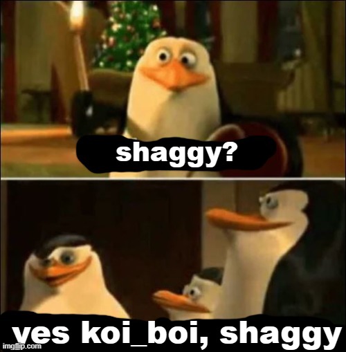 shaggy? yes koi_boi, shaggy | made w/ Imgflip meme maker