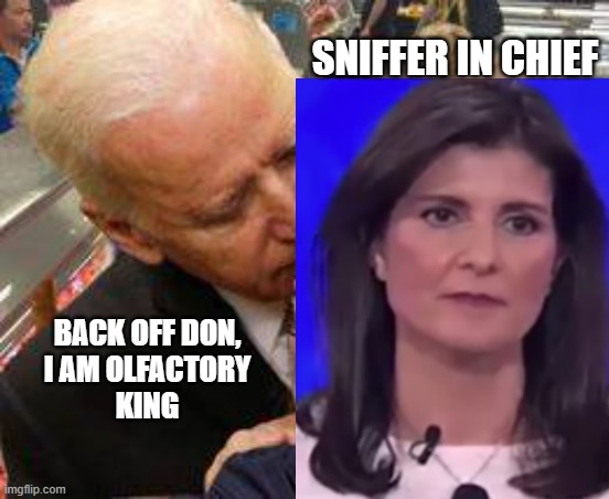 Joe Biden Sniffer | SNIFFER IN CHIEF BACK OFF DON,
I AM OLFACTORY
KING | image tagged in joe biden sniffer | made w/ Imgflip meme maker