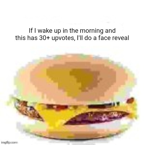 hamburger | If I wake up in the morning and this has 30+ upvotes, I'll do a face reveal | image tagged in hamburger | made w/ Imgflip meme maker