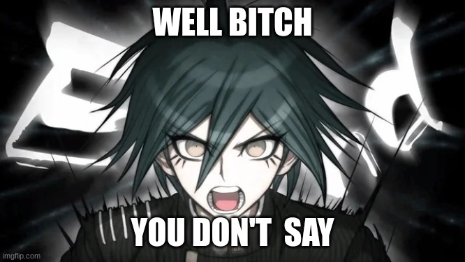 Shuichi Yelling | WELL BITCH YOU DON'T  SAY | image tagged in shuichi yelling | made w/ Imgflip meme maker