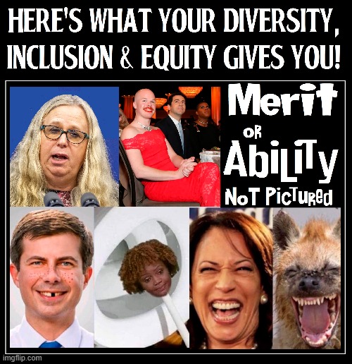 The Correct Acronym for Diversity Inclusion Equity is D.I.E. | image tagged in vince vance,merit,ability,sam brinton,kamala harris,pete buttigieg | made w/ Imgflip meme maker