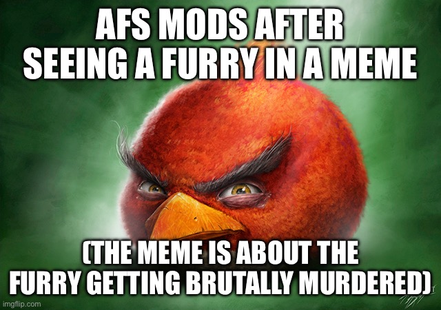 WE HAVE TO LITERALLY CENSOR THE FURRIES IN OUR MEMES WHYYY?? | AFS MODS AFTER SEEING A FURRY IN A MEME; (THE MEME IS ABOUT THE FURRY GETTING BRUTALLY MURDERED) | image tagged in grrrr | made w/ Imgflip meme maker