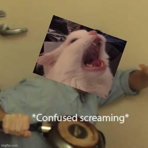 filthy frank confused scream | image tagged in filthy frank confused scream | made w/ Imgflip meme maker