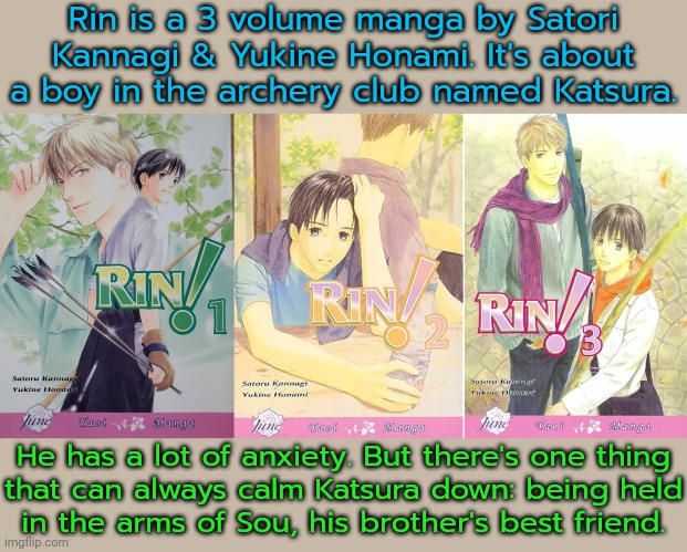 Translated to English by Digital Manga Publishing. | Rin is a 3 volume manga by Satori Kannagi & Yukine Honami. It's about a boy in the archery club named Katsura. He has a lot of anxiety. But there's one thing
that can always calm Katsura down: being held
in the arms of Sou, his brother's best friend. | image tagged in yaoi,lgbt,japan,sport | made w/ Imgflip meme maker