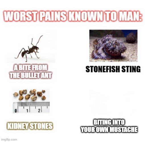 most painful things known to man | BITING INTO YOUR OWN MUSTACHE | image tagged in most painful things known to man,memes,relatable memes | made w/ Imgflip meme maker