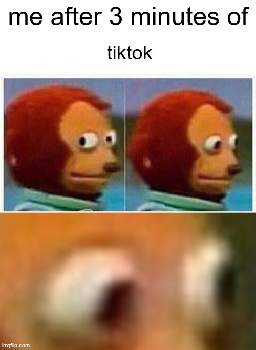 3 minutes of tiktok | me after 3 minutes of; tiktok | image tagged in memes,monkey puppet | made w/ Imgflip meme maker