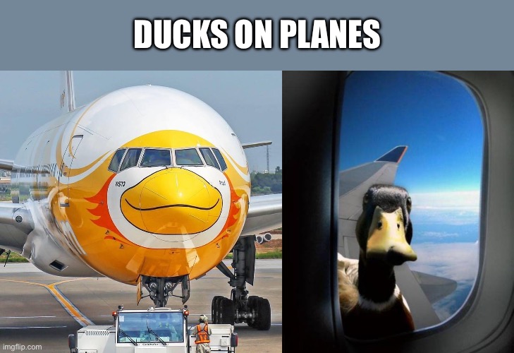 Ducks | DUCKS ON PLANES | image tagged in duck on plane wing,plane | made w/ Imgflip meme maker