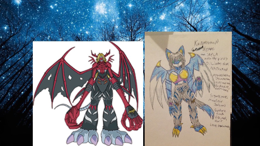 VenomMyotismon and KaiNatramon enjoying a romantic moment under the stars | image tagged in starry night,anime,digimon | made w/ Imgflip meme maker