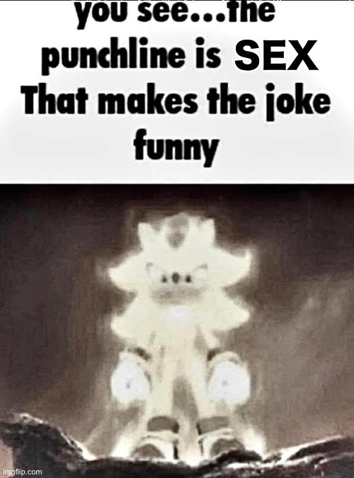 Shadow explains the joke | SEX | image tagged in shadow explains the joke | made w/ Imgflip meme maker