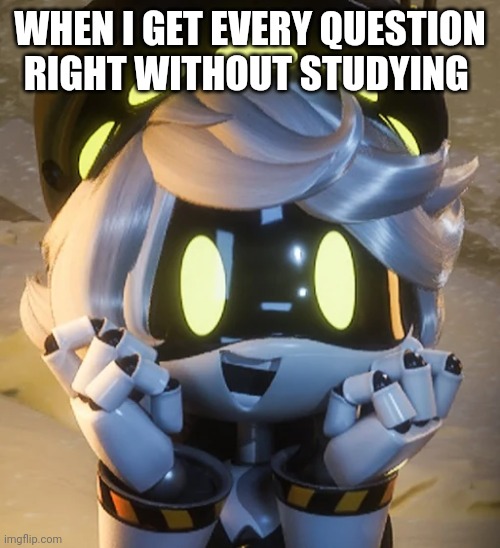 Happy N | WHEN I GET EVERY QUESTION RIGHT WITHOUT STUDYING | image tagged in happy n | made w/ Imgflip meme maker