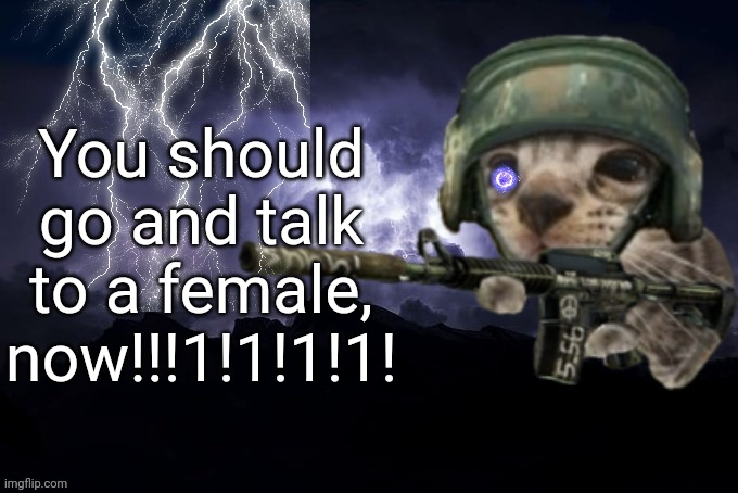 You should go and talk to a female, now!!!1!1!1!1! | image tagged in low tier god but its silly critter | made w/ Imgflip meme maker
