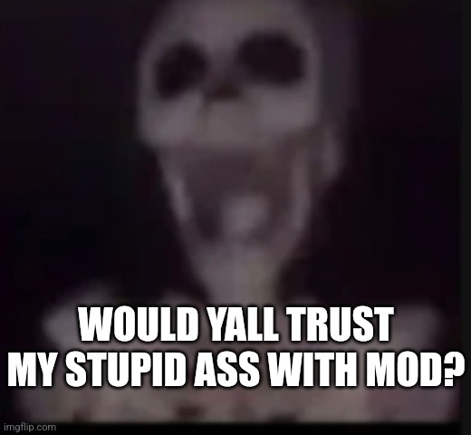 screaming skeleton | WOULD YALL TRUST MY STUPID ASS WITH MOD? | image tagged in screaming skeleton | made w/ Imgflip meme maker