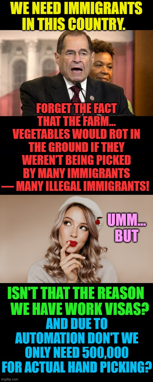 The Nadler Hustle And Spin | WE NEED IMMIGRANTS IN THIS COUNTRY. FORGET THE FACT THAT THE FARM… VEGETABLES WOULD ROT IN THE GROUND IF THEY WEREN’T BEING PICKED BY MANY IMMIGRANTS — MANY ILLEGAL IMMIGRANTS! UMM... BUT; ISN'T THAT THE REASON    WE HAVE WORK VISAS? AND DUE TO AUTOMATION DON'T WE ONLY NEED 500,000 FOR ACTUAL HAND PICKING? | image tagged in memes,politics,illegal immigrants,food,hustle,spin | made w/ Imgflip meme maker
