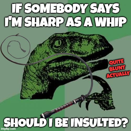 It's not like I slice my bread with one. | IF SOMEBODY SAYS I'M SHARP AS A WHIP; QUITE BLUNT ACTUALLY; SHOULD I BE INSULTED? | image tagged in memes,philosoraptor,whip,sharp,insulted | made w/ Imgflip meme maker
